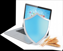 推平安诚信系统成为国际公共品